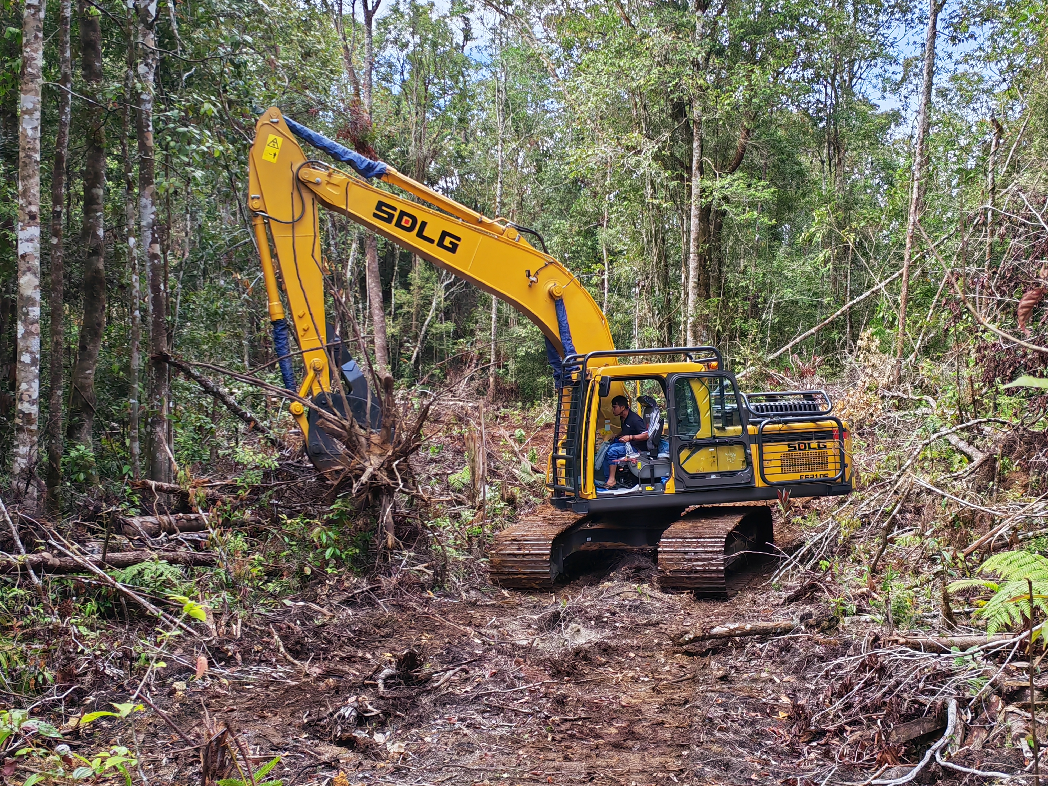 Forestry